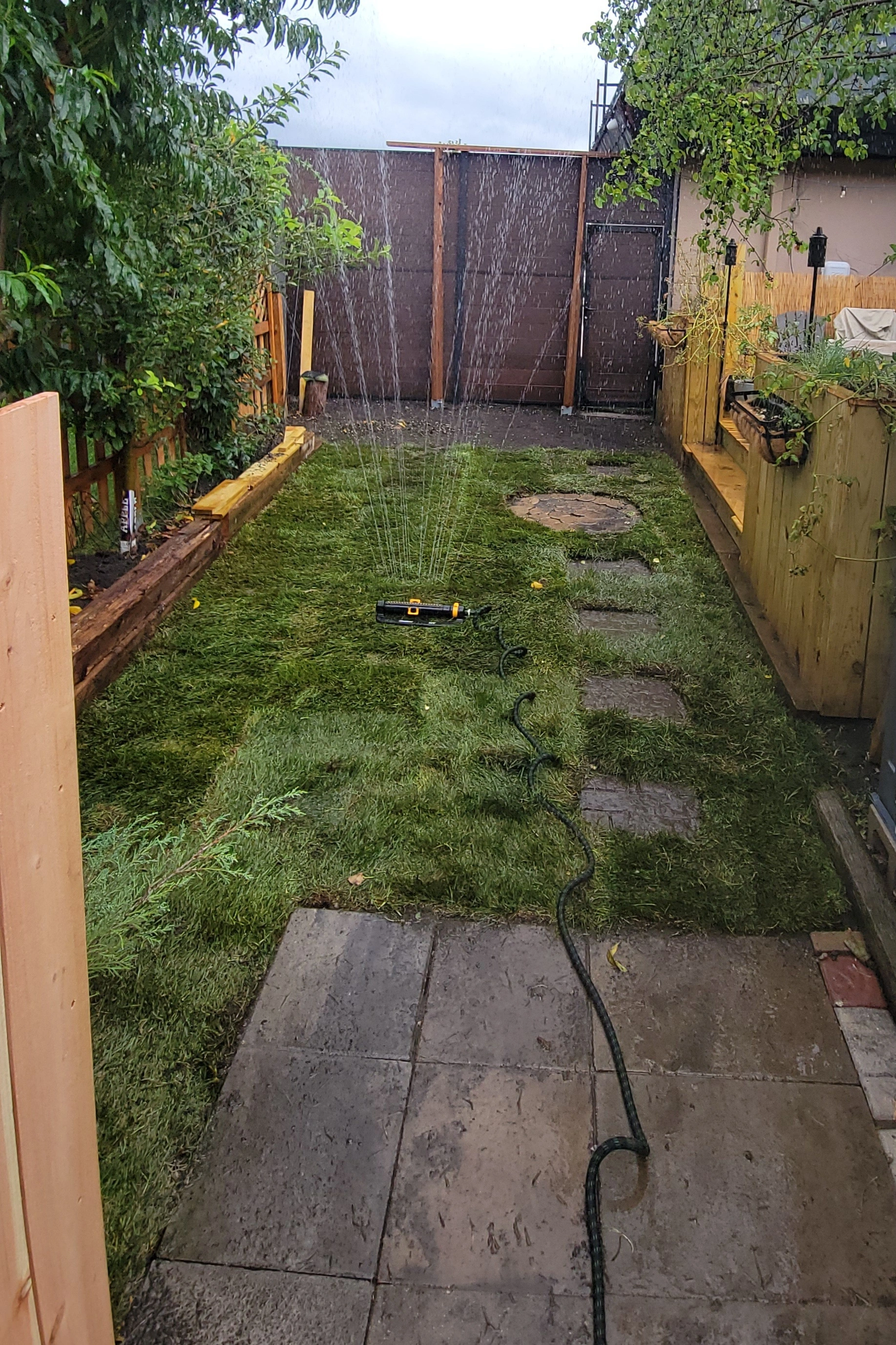 backyardAfter